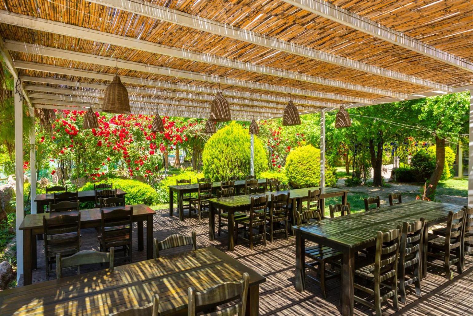 Asli Paradise