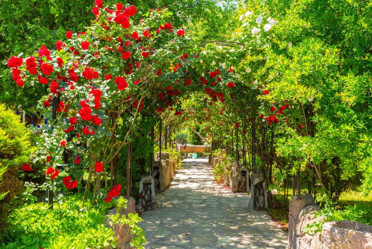 Case de vacanță Asli Paradise
